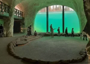 bassin des phoques à Pairi Daiza